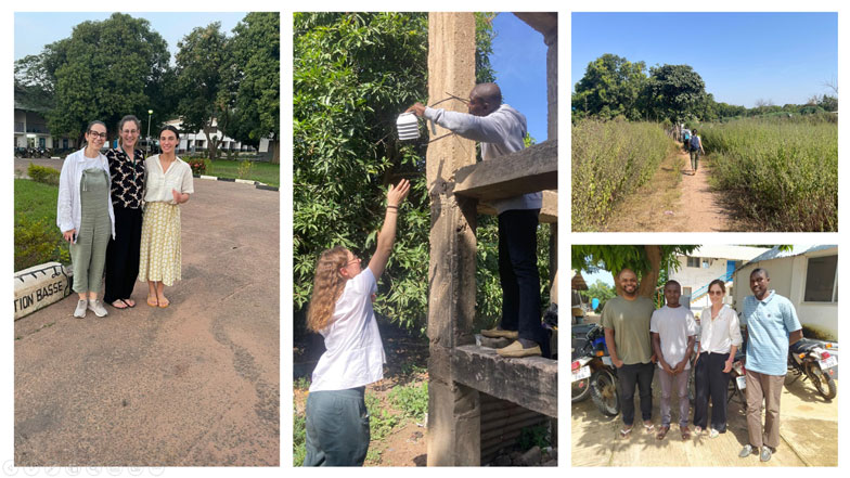 Field team working in Basse Santa Su (The Gambia) - September-December 2024