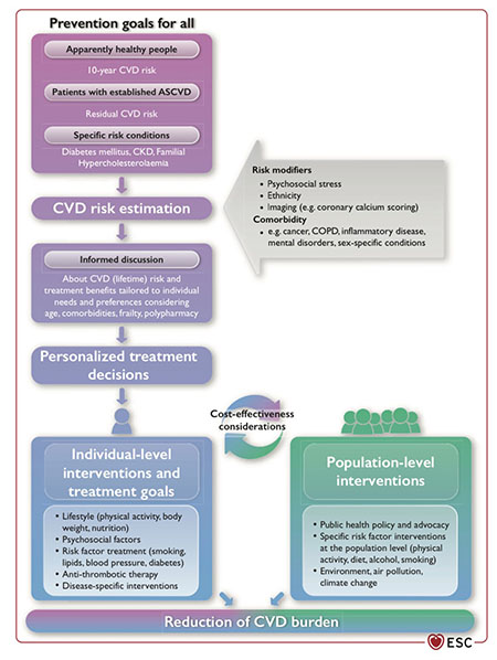 Prevention goals to reduce CVD burden