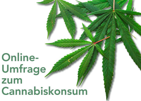 Online- Umfrage zum Cannabiskonsum