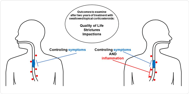 Outcomes to examine after two years of treatment with swallowed topical corticosteroids